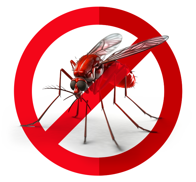 Anti Mosquito